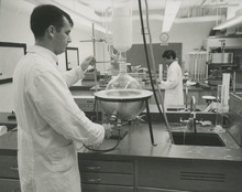 fau_36533-Thumbnail Image.jpg