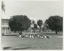 fau_36579-Thumbnail Image.jpg