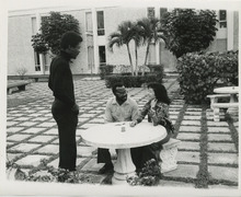 fau_36649-Thumbnail Image.jpg