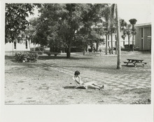 fau_36656-Thumbnail Image.jpg