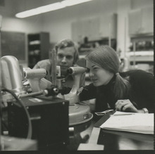 fau_36662-Thumbnail Image.jpg