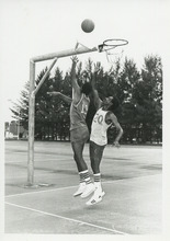 fau_36673-Thumbnail Image.jpg