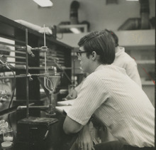 fau_36685-Thumbnail Image.jpg