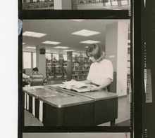 fau_36712-Thumbnail Image.jpg