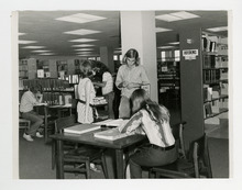 fau_36716-Thumbnail Image.jpg