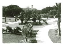 fau_38136-Thumbnail Image.jpg