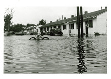 fau_38140-Thumbnail Image.jpg