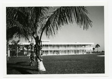 fau_38159-Thumbnail Image.jpg