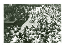 fau_38202-Thumbnail Image.jpg