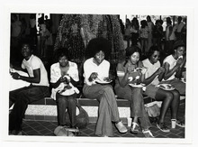 fau_38223-Thumbnail Image.jpg