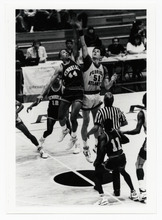 fau_38246-Thumbnail Image.jpg