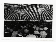 fau_38250-Thumbnail Image.jpg