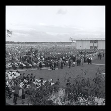 fau_38369-Thumbnail Image.jpg