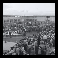 fau_38372-Thumbnail Image.jpg