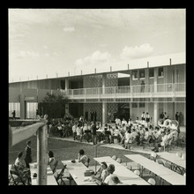 fau_38377-Thumbnail Image.jpg