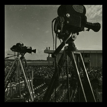 fau_38381-Thumbnail Image.jpg