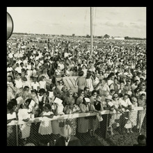 fau_38382-Thumbnail Image.jpg