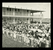 fau_38383-Thumbnail Image.jpg