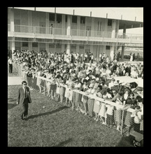 fau_38384-Thumbnail Image.jpg