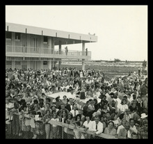 fau_38394-Thumbnail Image.jpg