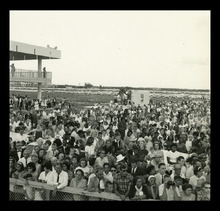 fau_38395-Thumbnail Image.jpg