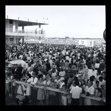 fau_38398-Thumbnail Image.jpg