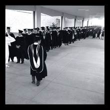 fau_38402-Thumbnail Image.jpg