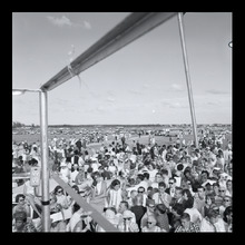 fau_38404-Thumbnail Image.jpg