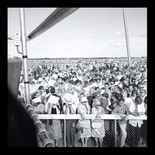 fau_38405-Thumbnail Image.jpg