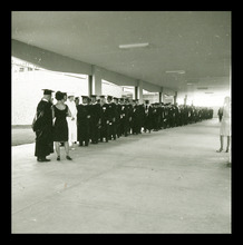 fau_38422-Thumbnail Image.jpg