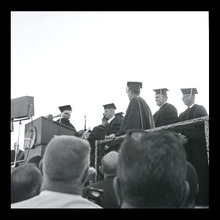 fau_38426-Thumbnail Image.jpg