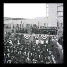 fau_38427-Thumbnail Image.jpg