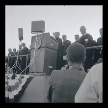 fau_38438-Thumbnail Image.jpg