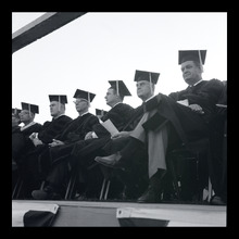 fau_38442-Thumbnail Image.jpg