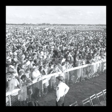 fau_38444-Thumbnail Image.jpg