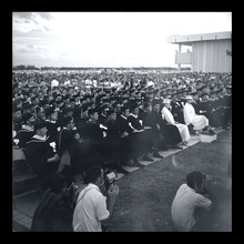 fau_38458-Thumbnail Image.jpg