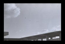 fau_38471-Thumbnail Image.jpg