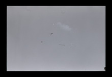 fau_38472-Thumbnail Image.jpg