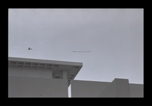 fau_38474-Thumbnail Image.jpg