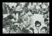 fau_38480-Thumbnail Image.jpg