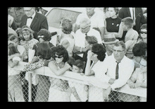 fau_38482-Thumbnail Image.jpg