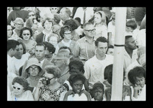 fau_38483-Thumbnail Image.jpg