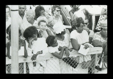 fau_38484-Thumbnail Image.jpg