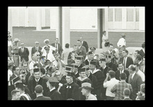 fau_38491-Thumbnail Image.jpg