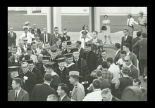 fau_38492-Thumbnail Image.jpg