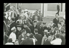 fau_38494-Thumbnail Image.jpg