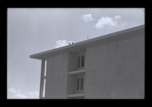 fau_38542-Thumbnail Image.jpg