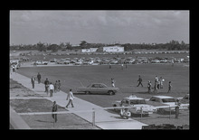 fau_38543-Thumbnail Image.jpg