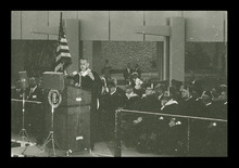 fau_38571-Thumbnail Image.jpg