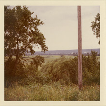 fau_38913-Thumbnail Image.jpg